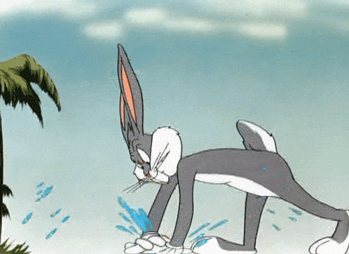 California Bunny GIF