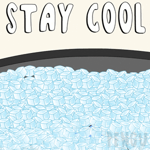 Calm Composed GIF