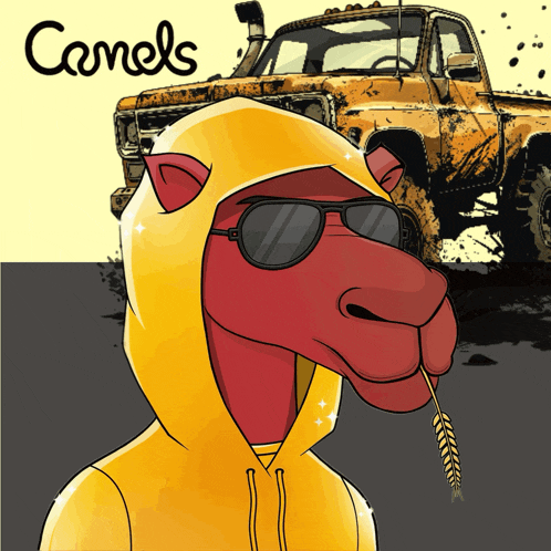 Camel Camels GIF