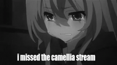 Camellia Stream GIF