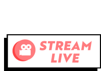 Camera Stream Live Sticker
