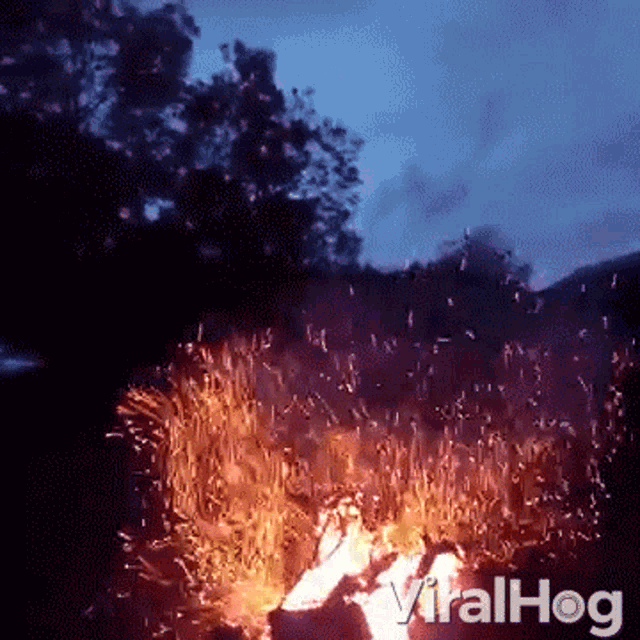Campfire Warm GIF