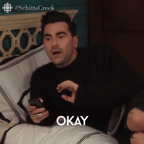 Can You Utilize A Little Bit More Of The English Language David GIF