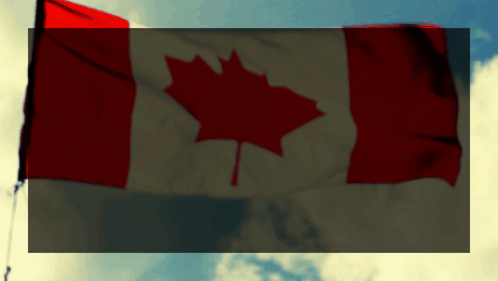 Canada Day Canada Flag GIF