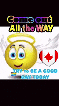 Canada Flag Canadiens GIF