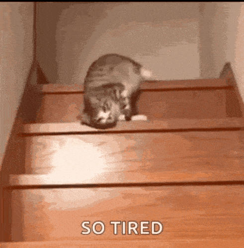 Cansado Boa Noite GIF