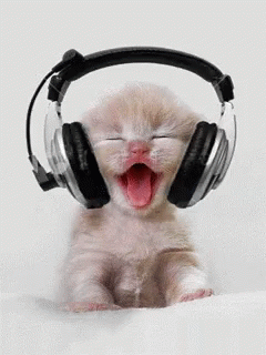 Cant Sleep To The Beat GIF