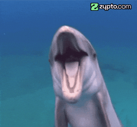 Cant Stop Laughing Crying GIF