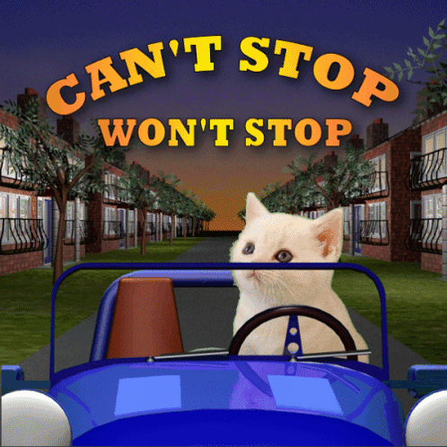 Can'T Stop Won'T Stop GIF