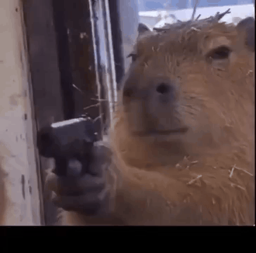 Capibara Pistola Capybara Gun GIF