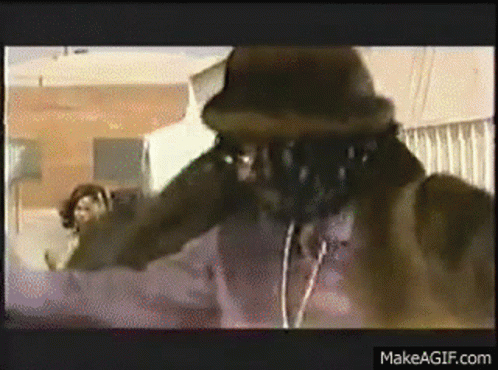 Capn Pimp Capn GIF