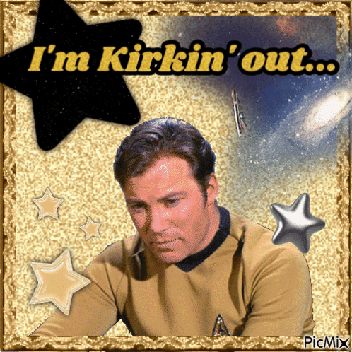 Captain Kirk James Kirk GIF