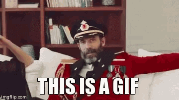 Captain Obvious This Is A Gif GIF