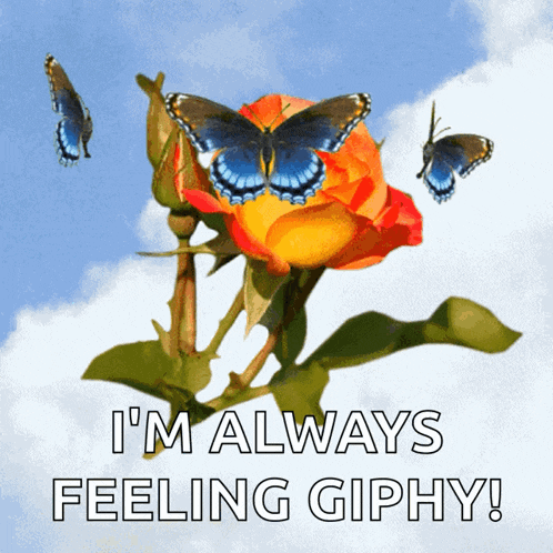 Caption Me Add Your Own Caption GIF