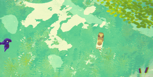 Capybara Capy GIF