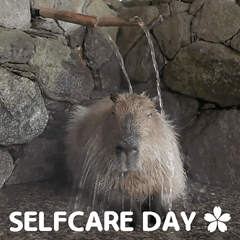 Capybara Cute GIF