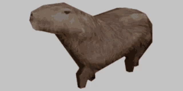 Capybara Lowpoly GIF