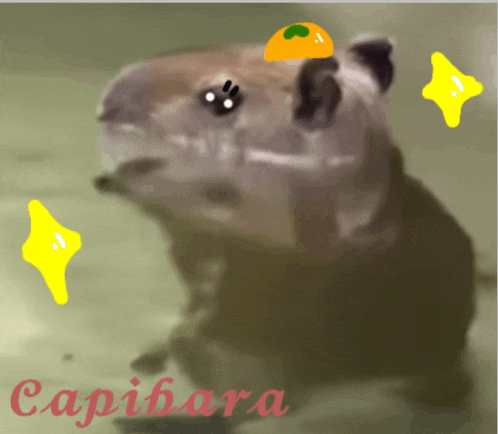 Capybara Meme