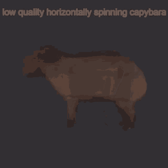Capybara Spin GIF