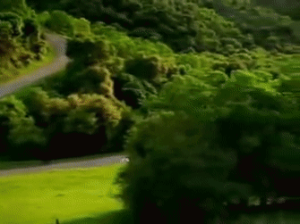 Car Commercial Ghost Jumpscare GIF