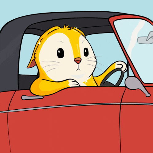 Car Driving GIF