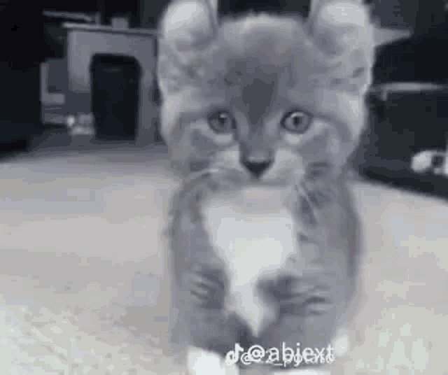 Car GIF