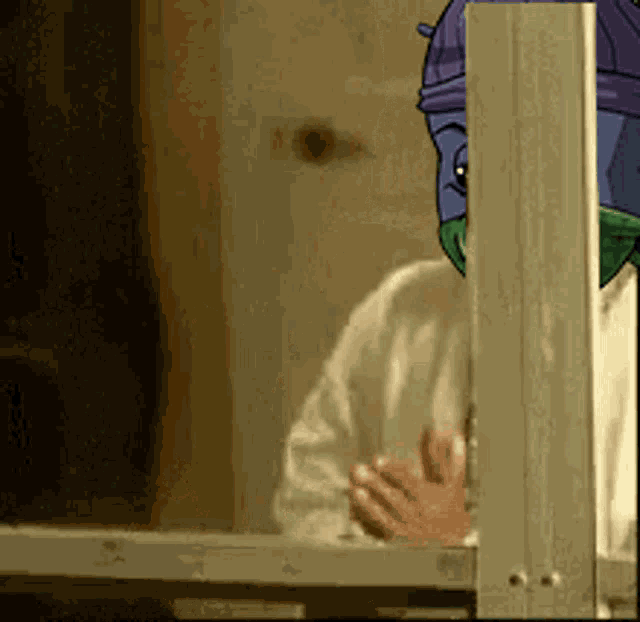 Cardano Bugs Cardano GIF