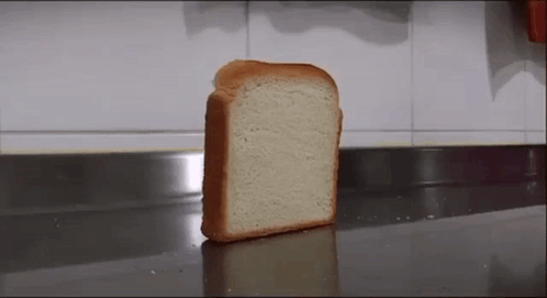Cardinalepan Cardinale GIF
