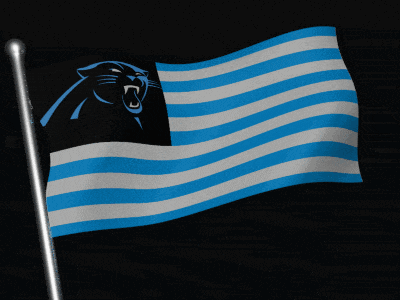 Carolina Panthers Carolina Panthers Logo GIF