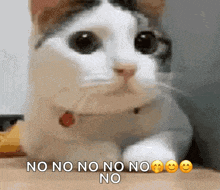 Cash GIF