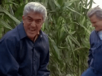 Casino Bat Scene Pesci GIF. This 338 x 250 animated GIF is part of our joe pesci casino collection. Created by Knicksgogo1. View the original animation…