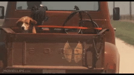 Castaway Leaving GIF
