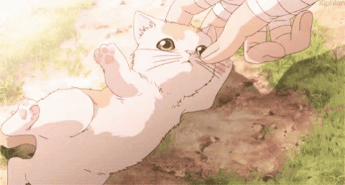 Cat GIF