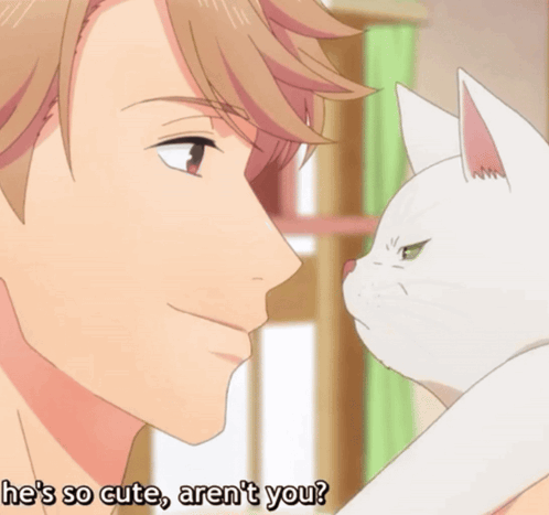 Cat Angry Cat GIF