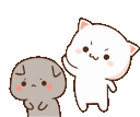 Cat Animation Sticker