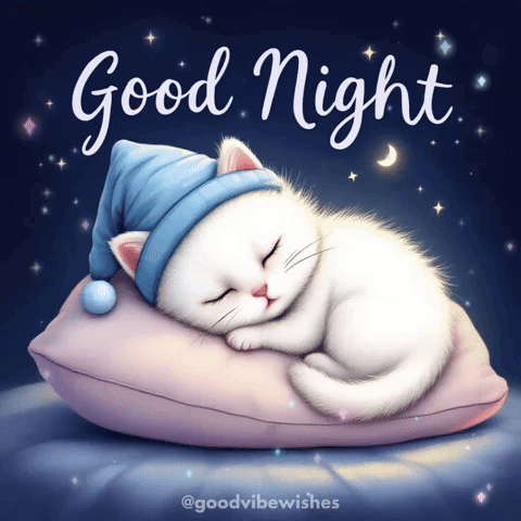 Cat Animation GIF