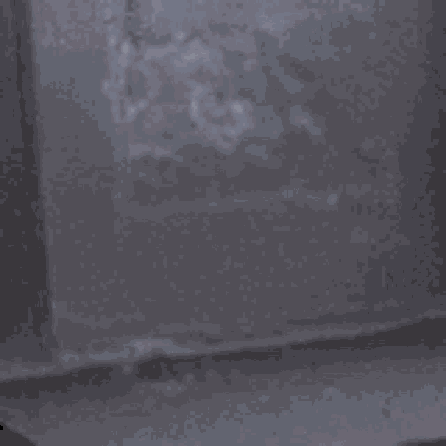 Cat Arrive GIF
