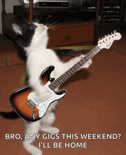 Cat As Ryan Follese Guitarist Of The Band Hot Chelle Rae GIF