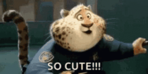 Cat GIF