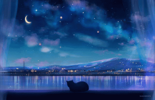 Cat Background GIF