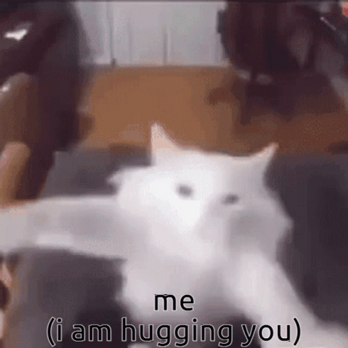 Cat Bagel GIF. This 498 x 498 animated GIF is part of our hug meme collection. Related themes include cat. Created by bagelthegood. View the original…