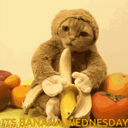 Cat Banana GIF