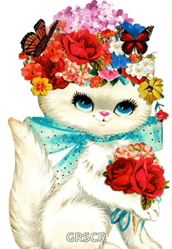 Cat Beautiful GIF