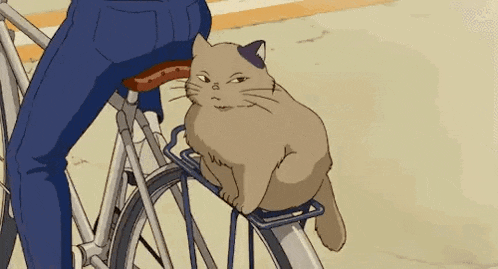 Cat Bicycle GIF