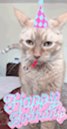 Cat Birthday GIF. This 259 x 498 animated GIF is part of our serpentinas y confeti collection. Related themes include birthday, cat, celebrate. Created by…