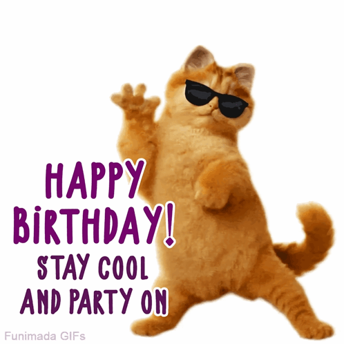 Cat Birthday Pet Birthday GIF