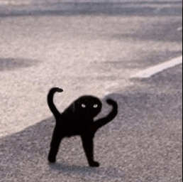 Cat Black Meme