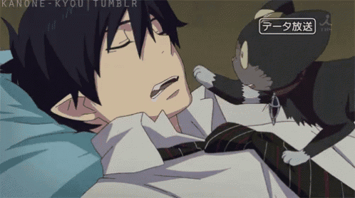 Cat Blue GIF