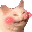 Cat Blush Sticker