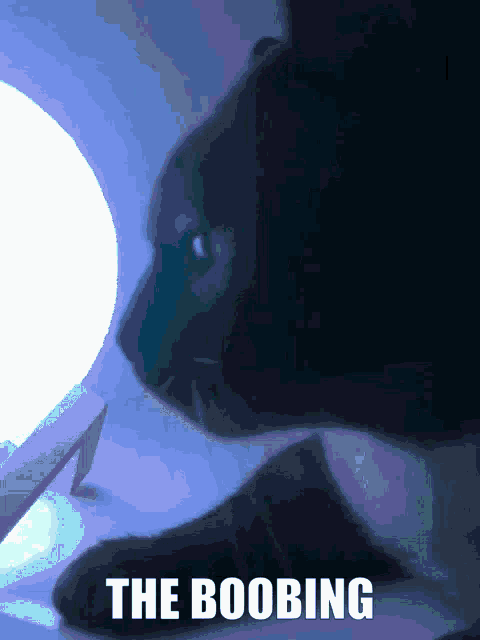 Cat Boob GIF